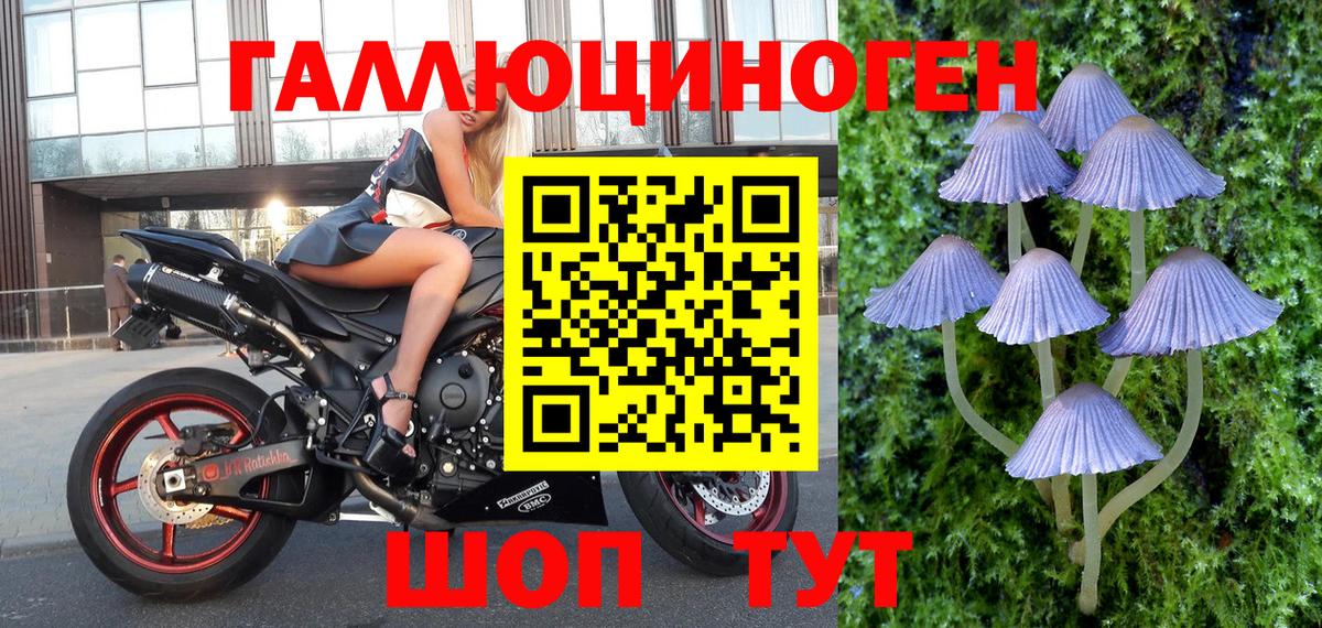 Галлюциногенные грибы мухоморы Ханты-Мансийск