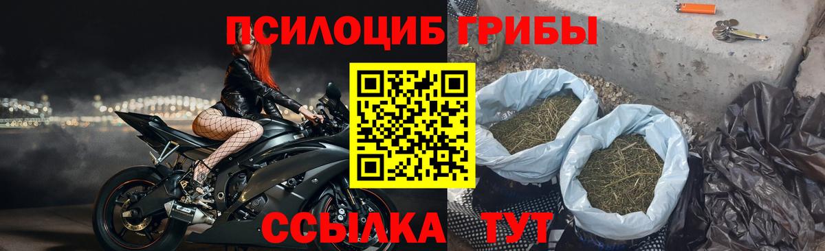 Ханты-Мансийск  Псилоцибиновые грибы Psilocybine cubensis  Вход с VPN 